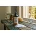 The Body Shop Satsuma Shower Gel - 250 ML | Vegan Cleanser for All Skin Types | Refreshing & Hydrating - Buy Online on GoSupps.com
