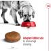 Royal Canin Dog Food Maxi Adults 5+ 4kg - Buy Online on GoSupps.com