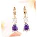 COHEALI 2 Pairs Earings for Women Women s Earrings Post Earrings for Women Womens Earrings Zircon Ear Rings Small Fresh Earrings Women Ear Rings Miss Purple Small and Fresh Jewelry Purplex3pcs mediumx3pcs - Buy Online on GoSupps.com