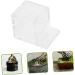 Toddmomy 4pcs Pet Water Feeder Small Ants Feeder Ants Habitat Water Feeding Ants Watering Cup Plastic - Buy Online on GoSupps.com