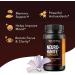 Extra Strength Brain Supplement for Focus - Havasu Nutrition 30 Capsules - Buy Online on GoSupps.com