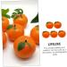 COOPHYA Kitchen Fruit 5pcs Orange Model Toddler Toy Home Accessories Artificial Fruits Fake Fruit Model Kids Toy Simulation Oranges Models Photo Props Child Plastic High Simulation - Buy Online on GoSupps.com