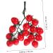 OUNONA String Simulated Cherry Tomatoes Artificial Cherry Tomato Fake Fruit Decorations Artificial Plants Garland Home Decor Mini Decor Realistic Plastic Cherry Tomatoes Party Decor Small Red 18X16CM - Buy Online on GoSupps.com