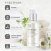Whiteseed Brightening Serum by The Face Shop | Deep Skin Brightening & Moisturization | Pore Minimize | Improve Skin Texture, Clarity & Reduce Dullness - 1.69 Fl Oz - Buy Online on GoSupps.com