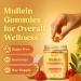 Kynis & co. Mullein Gummies for Overall Wellness Mullein Leaf Extract Quercetin Bromelain Ashwagandha Vitamin C & D Passion Fruit & Raspberry Flavor 60 Gummies - Buy Online on GoSupps.com