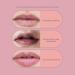 12-Color Lip Palette | Matte Lipstick Makeup | Universal Shades Lightweight Gloss Soft Texture Ideal for Adult Women and Teenagers - Buy Online on GoSupps.com