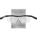FALINGO Blue Magnifying Glasses 200% Optical Magnification for Reading & Detailed Focus Ideal Magnifier for Enhanced Clarity - Buy Online on GoSupps.com