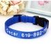 Beirui Personalised Dog Collars - Embroidered Custom Dog Collar with Name and Phone Number - Reflective Nylon Pet Collar for Small Medium Large Dogs Royal Blue Neck 10-16" S:Neck 10-16" Width 5/8" Royal Blue - Buy Online on GoSupps.com