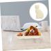 Zerodeko Nut Tray 1pc Elements Cat-Shaped Practical House Kitchen Storage Shaped Snack for Home Seafood Sushi Platter 21X11X2.5CM White - Buy Online on GoSupps.com