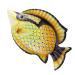 Zerodeko Decorative Fish Wall Hanging Ocean Iron Ornament 30X17cm Yellow