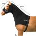 Leberna Lycra Stretch Horse Hood with Zipper - Full Face Neck Cover for Horses | Quality Black Equestrian Gear - Buy Online on GoSupps.com