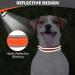 Joytale Softly Padded Neoprene Dog Collar for Small Dogs - Reflective Nylon Orange S (1 Pack) | Best International Shipping - Buy Online on GoSupps.com