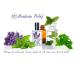 Nutravana Headache Relief - Peppermint, Lavender, and Spearmint Essential Oil Blend for Natural Soothing Therapy - Buy Online on GoSupps.com