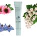 Liz Earle Instant Brightening Eye Cream 15ml - Buy Online on GoSupps.com