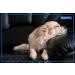 ADAPTIL Refill - Calms & Comforts Dogs at Home When Home Alone or During Loud Noises & Stressful Events - Use ADAPTIL for Dogs with ADAPTIL Diffusers (30 Day Supply ADAPTIL Refill C133) - Buy Online on GoSupps.com