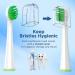Waterpik Sonic Fusion Replacement Toothbrush Heads - 4 Count White - Buy Online on GoSupps.com