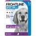 Frontline Spot On Flea Treatment For Dogs 20-40kg 1 pipettes Flea And Tick Treatment For Dogs Frontline Flea Treatment For Dogs Frontline Spot On For Dogs Frontline For Dogs - Buy Online on GoSupps.com