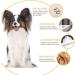 Abuycs Dog Grooming Clippers for Pets Cat Hair Trimmer Kit Dog Clippers Pet Shaver Low Noise Professional Hair Clipper Set with 4 Comb + Pro Accessories Quiet Rechargeable Shaving Tool - Buy Online on GoSupps.com