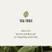 Every Man Jack Tea Tree Men's Thickening 2-in-1 Shampoo & Conditioner | Restore Thickness Cleanse & Condition | Naturally Derived Paraben & Dye Free - Shop Internationally - Buy Online on GoSupps.com