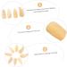 8 Pcs Guzheng nail pieces guzheng nails small guitar pick punch guzheng practice tools kids guitar picks guzheng prelectrum pipa child horns protection erhu musical instrument 2.7X1.2X0.1CM Yellow - Buy Online on GoSupps.com