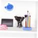 NOLITOY 2-in-1 Makeup Brush Storage Box & Sponge Holder | Silicone Brush Cleaning Mat | Drying Rack & Stand for Makeup Tools - Blue 11x2.5cm - Buy Online on GoSupps.com