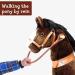 PonyCycle Riding on Horseback Reins - 75 cm Brown | Fun International Shipping - Buy Online on GoSupps.com