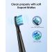 Oraimo Rechargeable Sonic Electric Toothbrush for Adults | 4 Heads & Power Holder | 3 Modes & Smart Timer | Fast Charge for 30 Days | 1 Count - Buy Online on GoSupps.com