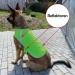 Reflective Dog Warning Vest - Safety Jacket for Dogs | Robust Lined Fabric Sizes Available in Neon Green - Buy Online on GoSupps.com