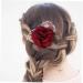 Didiseaon Teasing Combs for Women Hair Accessories for Women Hair Combs for Women Flower Hair Combs Wedding Headpiece for Bride Hair Clips Hair Stick Hair up Women's The Flowers - Buy Online on GoSupps.com