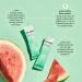 Beam Organics Watermelon Hydration Energy Powder Packets - 15 Single Serves | Hydrating Pre Workout Boost, Coffee Substitute & Immune Support - Buy Online on GoSupps.com
