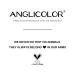 Buy Anglicolor 3PC Blush Liquid Cream - Velvety Matte Rouge Makeup for Natural Beauty | International Shipping Available - Buy Online on GoSupps.com