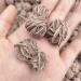 Natural Crystal Rough 3-5pcs 10-25mm Natural Desert Rose Raw Crystal Stone Specimen Fengshui Decor Gifts Mini Stones Specimens Can be Used for Home Office Decoration (Size : 3pcs)