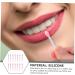 POPETPOP 2 Sets Lip Gloss Brush Silicone Facial Brush Eyeshadow Brush Lip Plumper Lip Gloss Makeup Lip Brush Lipstick Lip Applicator Eye Shadow Brush Miss Silica Gel Pink Mini - Buy Online on GoSupps.com