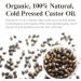 Castor Oil by Plant of Life - USDA Organic 100% Pure Cold-Pressed Hexane-Free - Strengthen Repair for Hair Eyebrow Eyelash - (2oz (60mL)) - Buy Online on GoSupps.com