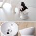 Y YHY Raised Tilted Cat Food and Water Bowl Set - No Spill, Elevated Ceramic Feeder for Flat-Faced Cats and Small Dogs (White, Set of 2) - Buy Online on GoSupps.com
