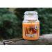 Magic Lights Orange Cinnamon Candle - 510g | Natural Wood Wick | Eco-Friendly Vegetable Wax | Made in Italy - International Shipping Available - Buy Online on GoSupps.com