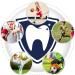 Vanmor 6 Pack Youth Mouth Guard for Kids - Double Colored Teeth Braces with Case - Ideal for Football, Basketball, MMA, and More - Moldable Mouthpiece for Boys and Girls - Buy Online on GoSupps.com