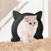 Cat Door Indoor Cat Door Pet Doors for Cats No-Flap Cat Door with Screws Fits Both Solid and Hollow Indoors Door (Black L) - Buy Online on GoSupps.com