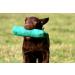 Romneys Standard Dummy 500g Green - Floatable & Unsinkable Dog Training Fetch Toy | International Shipping Available - Buy Online on GoSupps.com