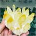 Stone Crafts Natural Beatiful Yellow Tibetan Quartz Crystal Cluster Specimen Reiki Crystals - Buy Online on GoSupps.com