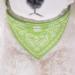 Cat Collar with Bandana in Paisley Look - Green Buckle - Size S (20-26cm Neck) | International Shipping Available - Buy Online on GoSupps.com