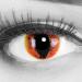 Funnylens Colored Crazy Manticore Year Dragon Cat Contact Lenses - Perfect for Halloween & Carnival | Free Containers - Buy Online on GoSupps.com