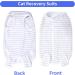 Buy Cobee Professional Cat Recovery Suit - Soft E-Collar Alternative for Abdominal Wounds & Skin Diseases | Size L - International Shipping Available - Buy Online on GoSupps.com