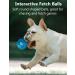 TONGKTAI Dog Toys Soft Stuffed Plush Balls Pet Chew Squeake Toy Interactive Fetch Play for Small Medium Pets (8 pack) - Buy Online on GoSupps.com