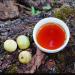 HELLOYOUNG 357g G teau de th Pu-erh m r l'ar me biologique chinois vieilli Sans additifs aliments verts ferment uniform ment - Buy Online on GoSupps.com