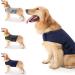 Anti-Fear Dog Jacket | Relaxing Pet Stress Reduction Shirt - Light Gray S | Calm & Warm Thunder Wrap - Buy Online on GoSupps.com