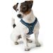HUNTER HILO COMFORT Harness for Small Dogs - Mesh & Reflective - Blue M | International Shipping Available - Buy Online on GoSupps.com