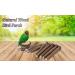 Mogokoyo 8 PCS Natural Wood Bird Perch Birdcage Stand Wooden Parrot Perch Stand Perch Platform Cage Accessories for Parrotlets Budgies Cockatiels Parakeets Lovebirds Style A - Buy Online on GoSupps.com