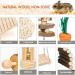 Hamster Chew Toys Set - Wooden Teeth Care Accessories for Small Animals - Ideal for Guinea Pigs, Chinchillas, Gerbils, Mice, Rats - Includes Swing, Seesaw, and Bridge - Buy Online on GoSupps.com