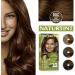 Naturtint 5GC Deep Cinnamon Chestnut Hair Colour - Ammonia-Free, Long-Lasting, Grey Coverage - Buy Online on GoSupps.com